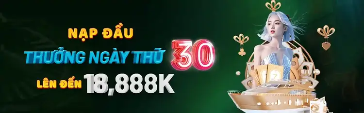 Đăng ký V55